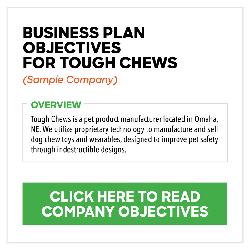 overview and objectives business plan